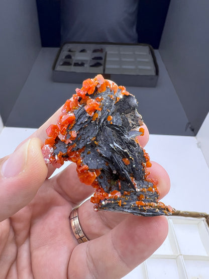 Black Barite With Red Vanadinite Crystal Lot