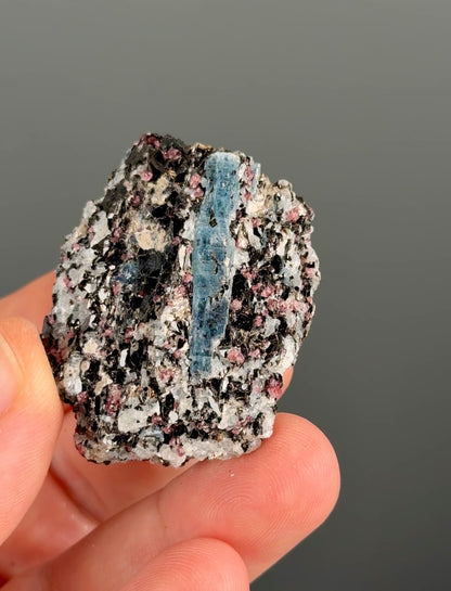 Kyanite with garnet, albite, biotite and Quartz Specimen Lot