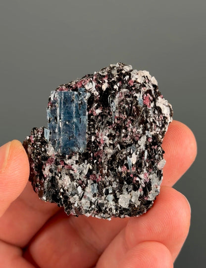 Kyanite with garnet, albite, biotite and Quartz Specimen Lot