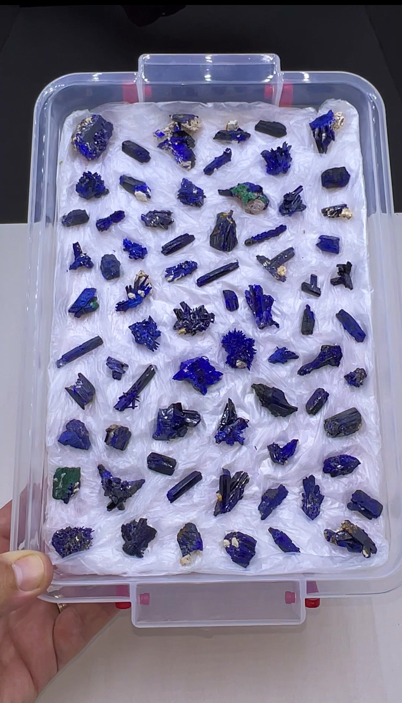 Blue Azurite Crystal  Specimen Lot 60-70 Pieces