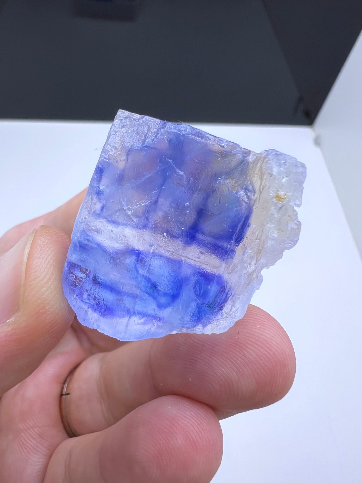 Blue Halite Crystal Lot