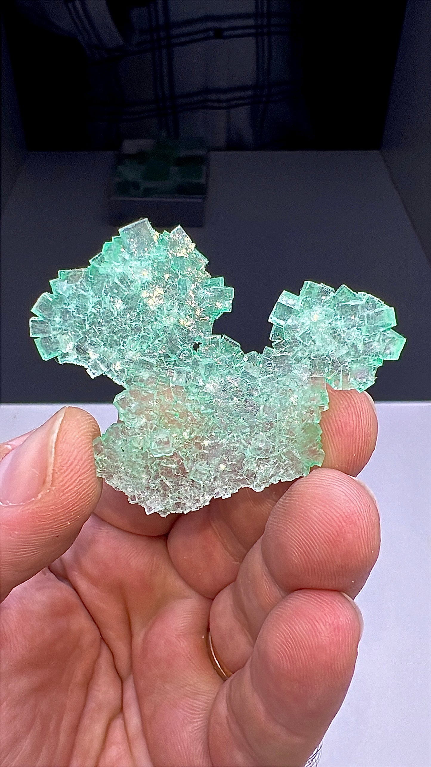 Green Halite Crystal Lot