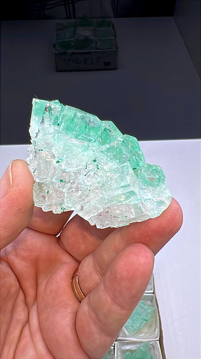 Green Halite Crystal Lot