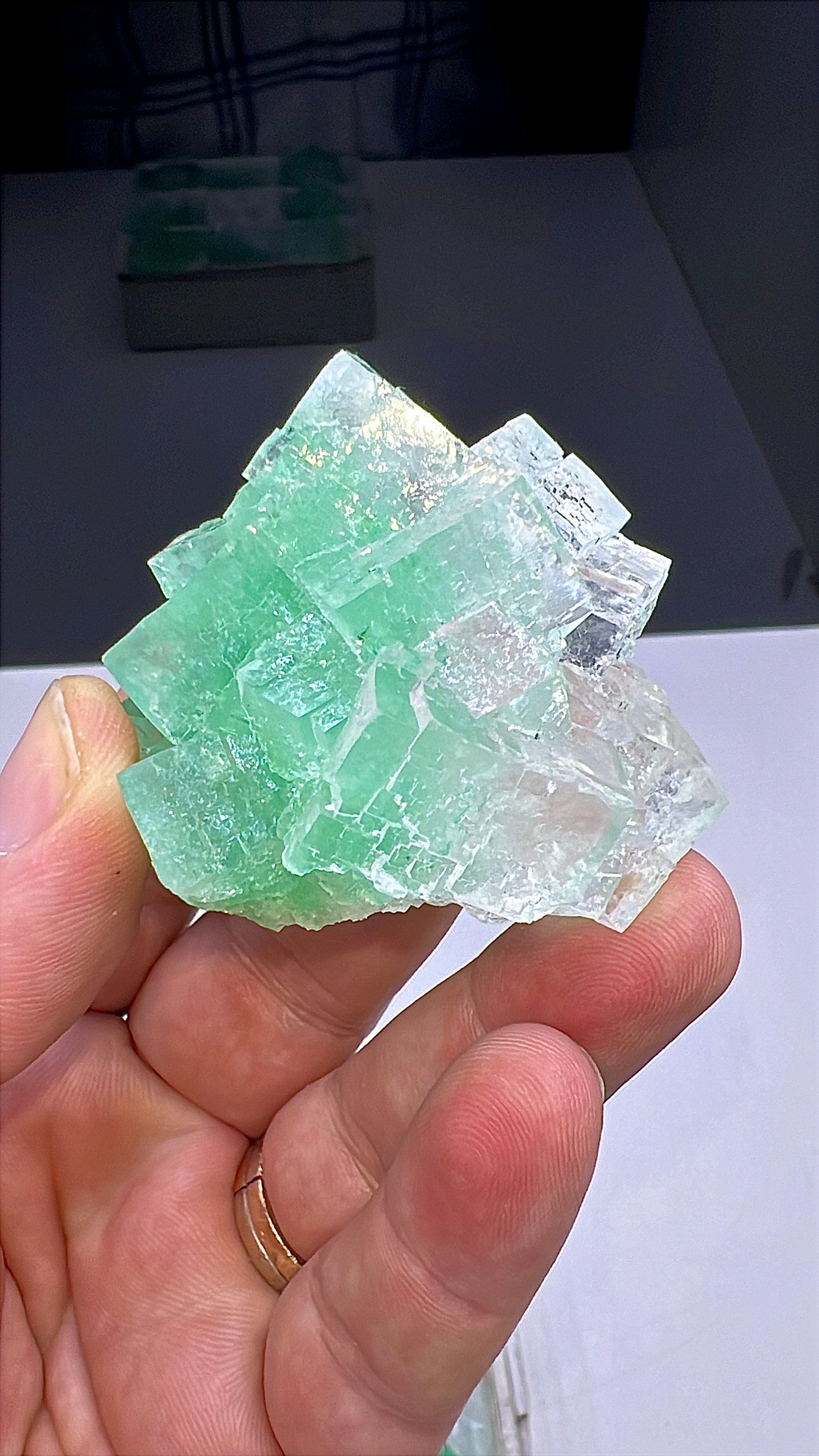 Green Halite Crystal Lot