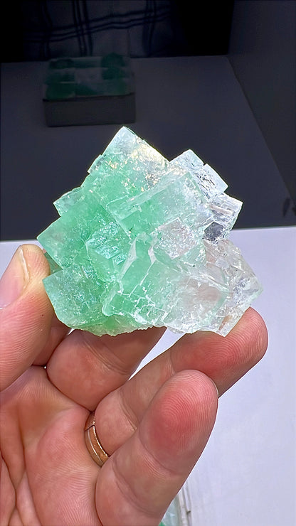 Green Halite Crystal Lot