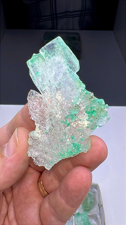 Green Halite Crystal Lot