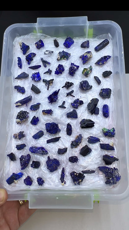 Blue Azurite Crystal  Specimen Lot 60-70 Pieces