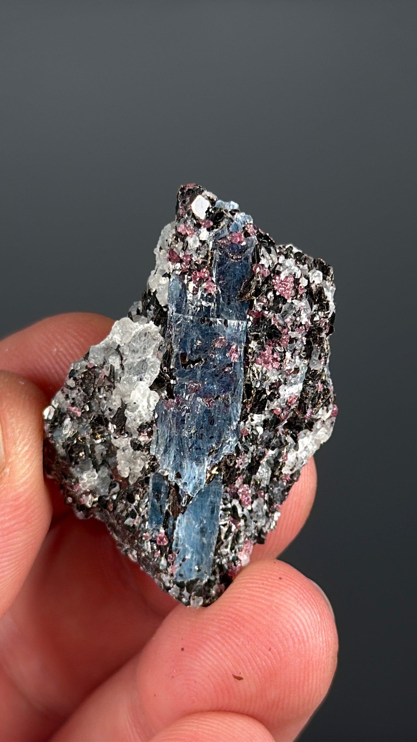 Kyanite with garnet, albite, biotite and Quartz Specimen Lot