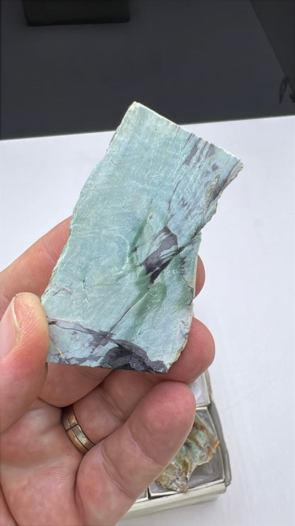 Blue Petrified Wood Lot 9 pieces