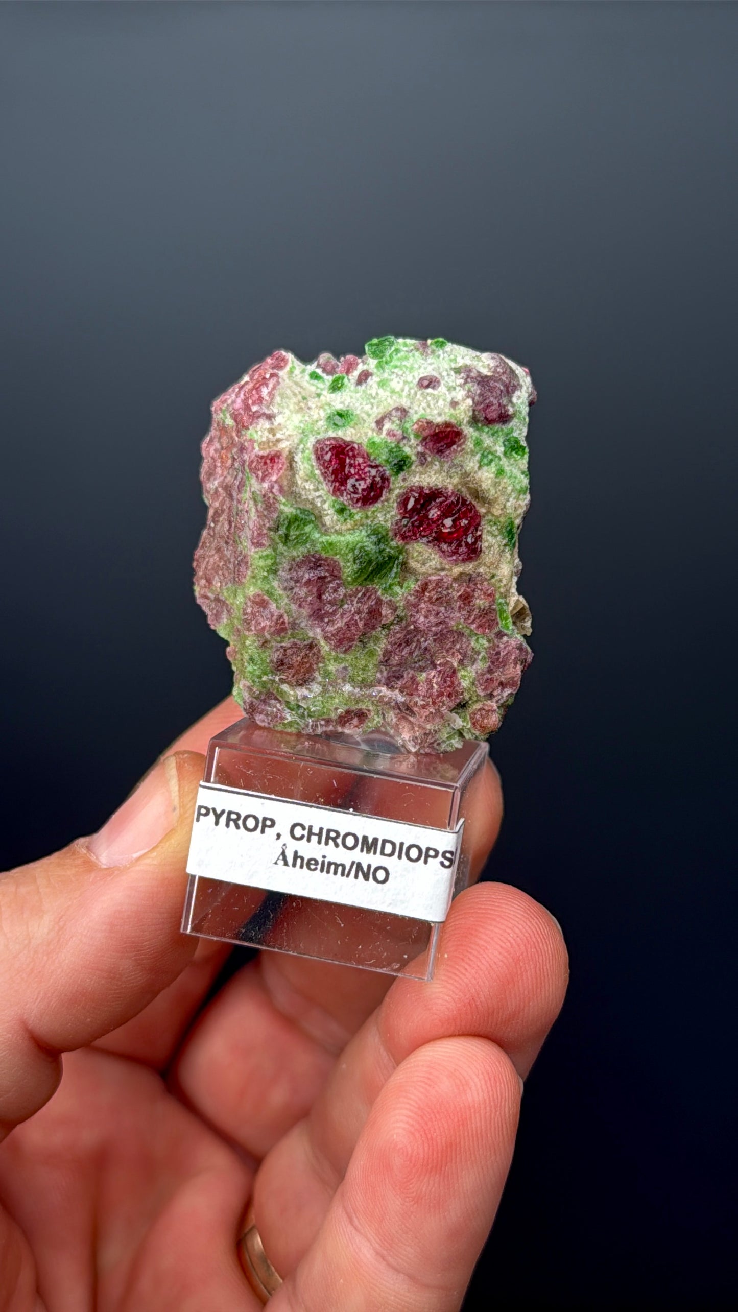 Pyrope Garnet with Chrom Diopsite Specimen Lot