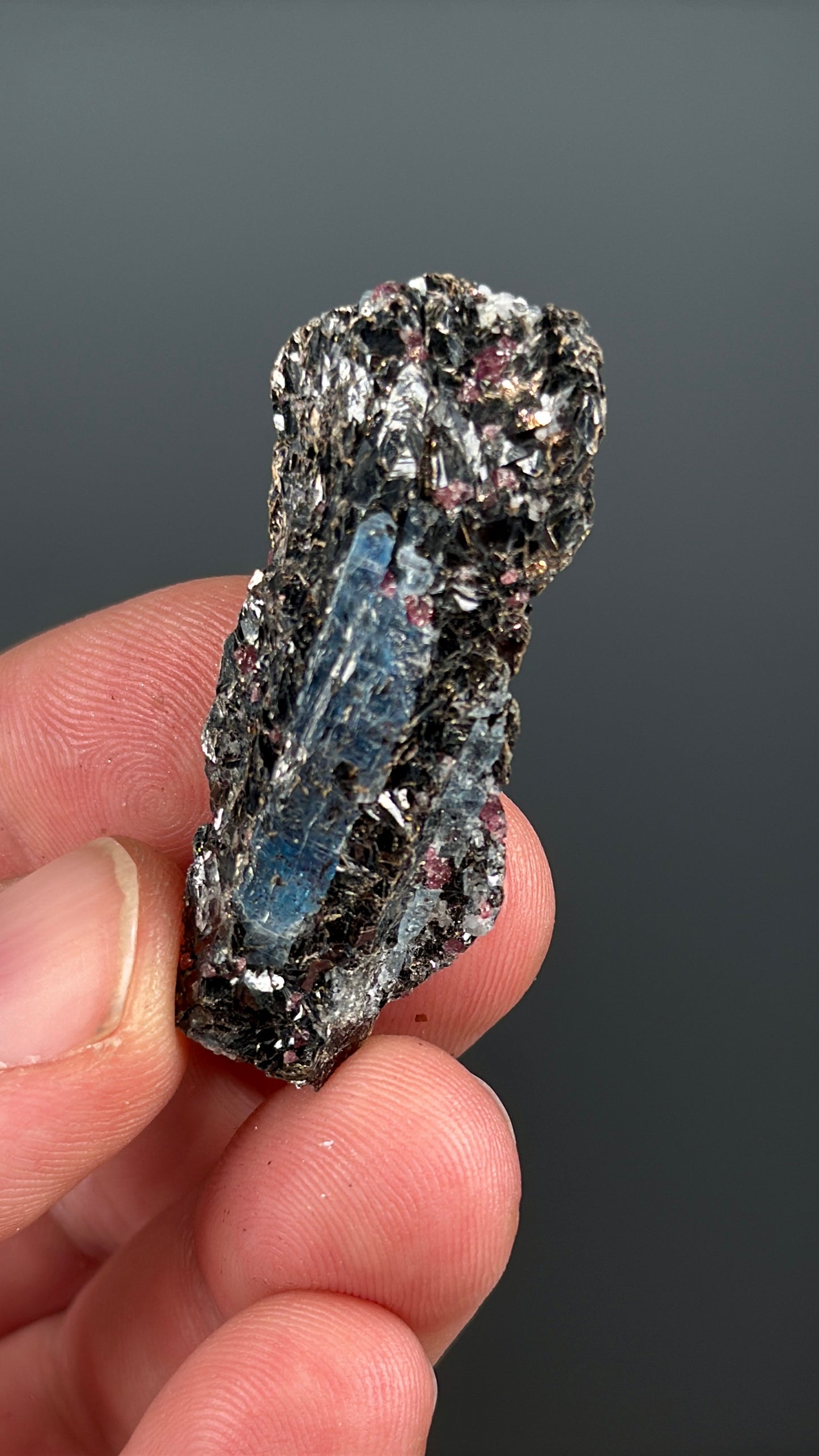 Kyanite with garnet, albite, biotite and Quartz Specimen Lot