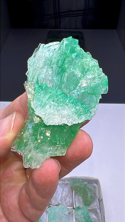 Green Halite Crystal Lot