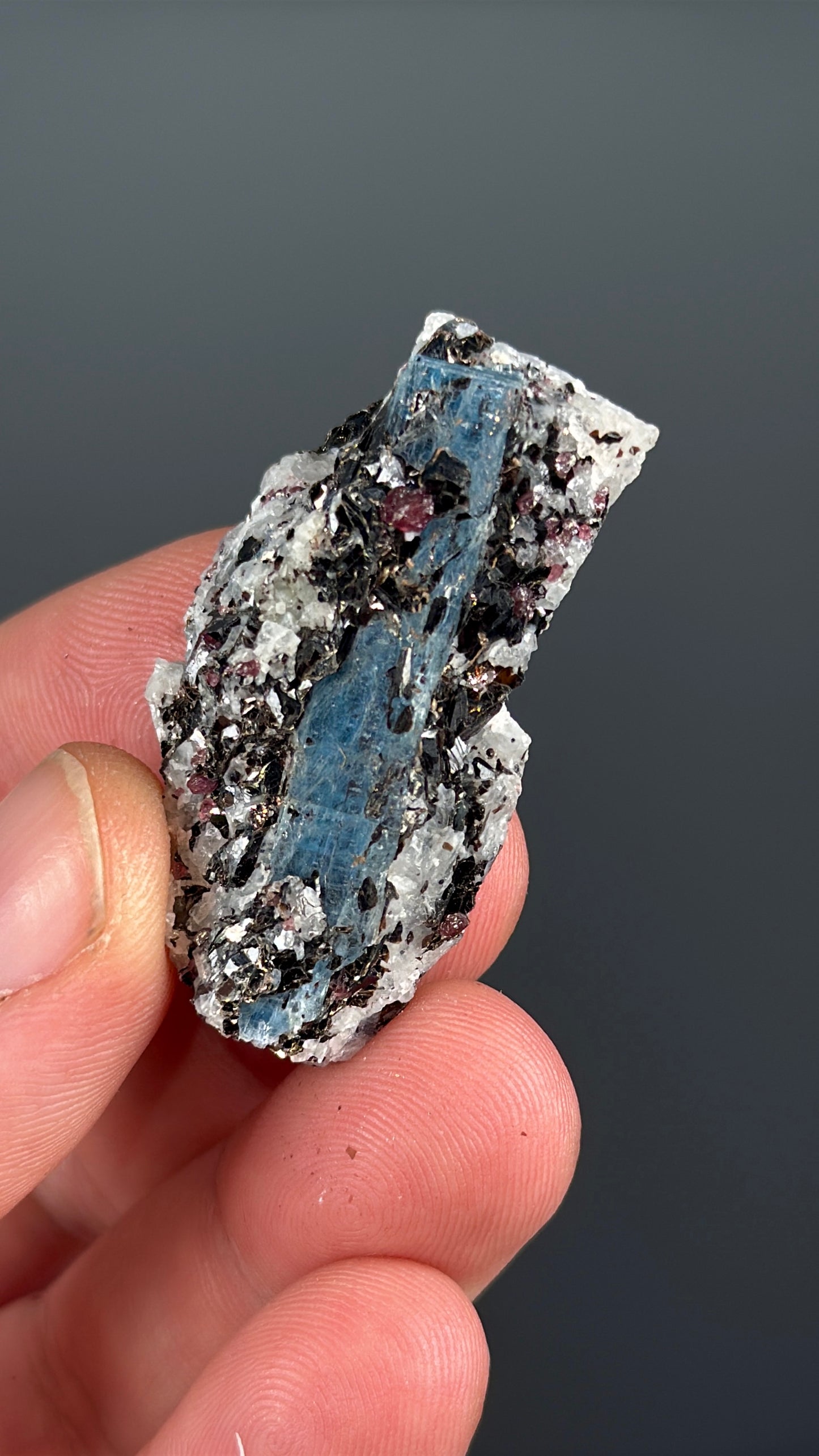 Kyanite with garnet, albite, biotite and Quartz Specimen Lot