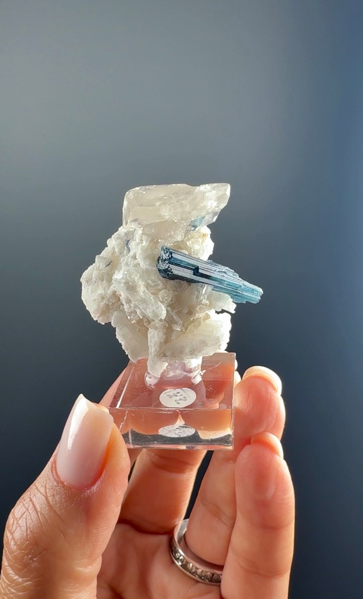 Blue Tourmaline Crystal on Quartz
