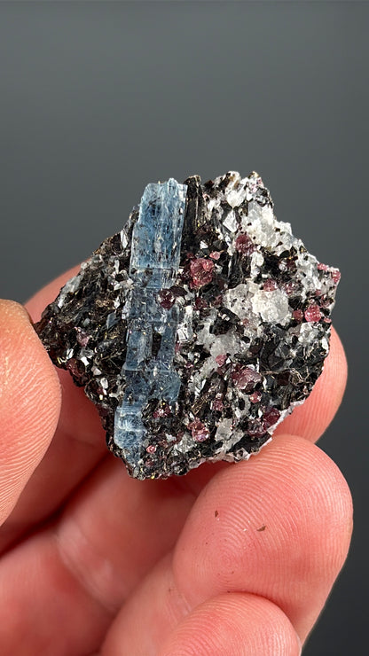 Kyanite with garnet, albite, biotite and Quartz Specimen Lot