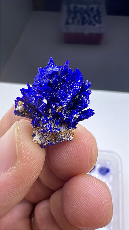 Blue Azurite Crystal  Specimen Lot 60-70 Pieces