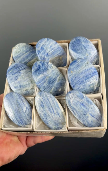 Blue Kyanite Crystal Palm Stone Lot