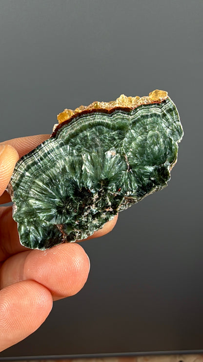 Forest Green Seraphinite Slab Lot