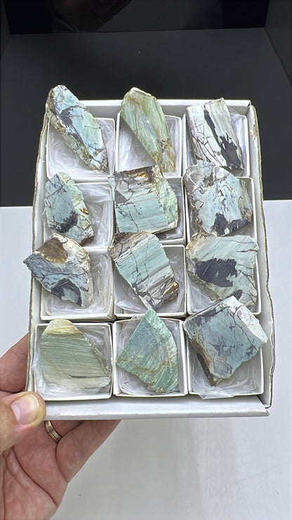 Blue Petrified Wood Lot 12 pieces