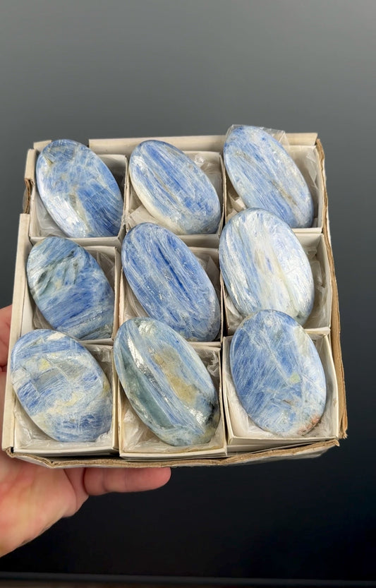 Blue Kyanite Crystal Palm Stone Lot