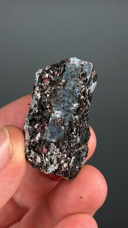 Kyanite with garnet, albite, biotite and Quartz Specimen Lot