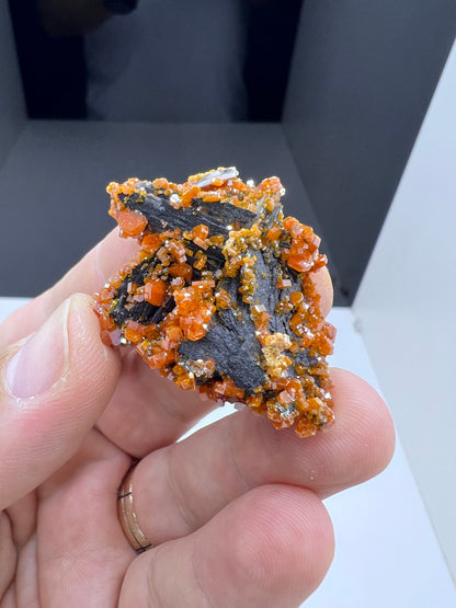 Black Barite With Red Vanadinite Crystal Lot