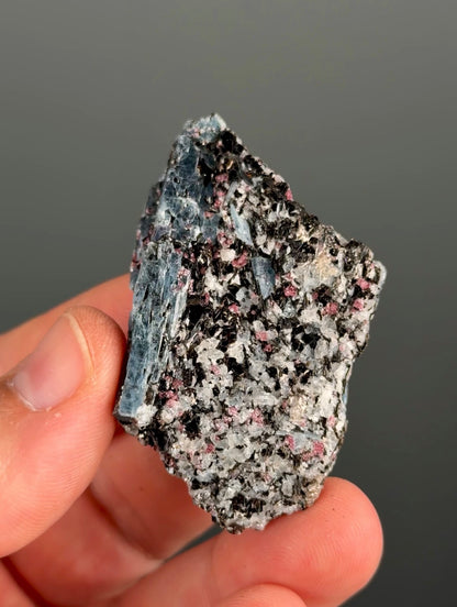 Kyanite with garnet, albite, biotite and Quartz Specimen Lot