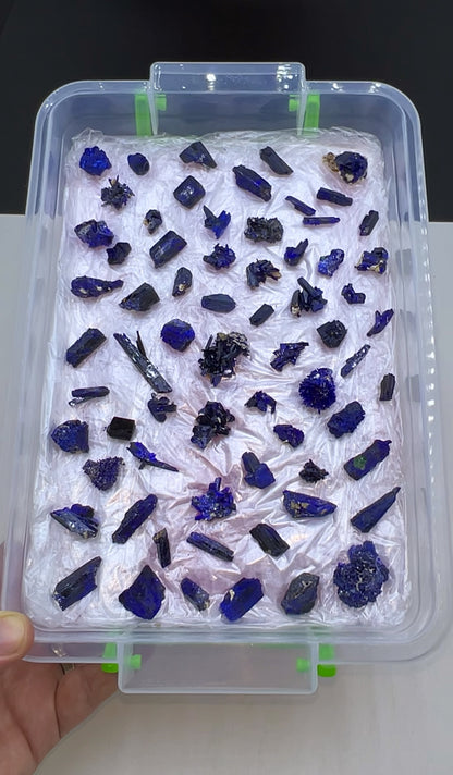 Blue Azurite Crystal  Specimen Lot 60-70 Pieces