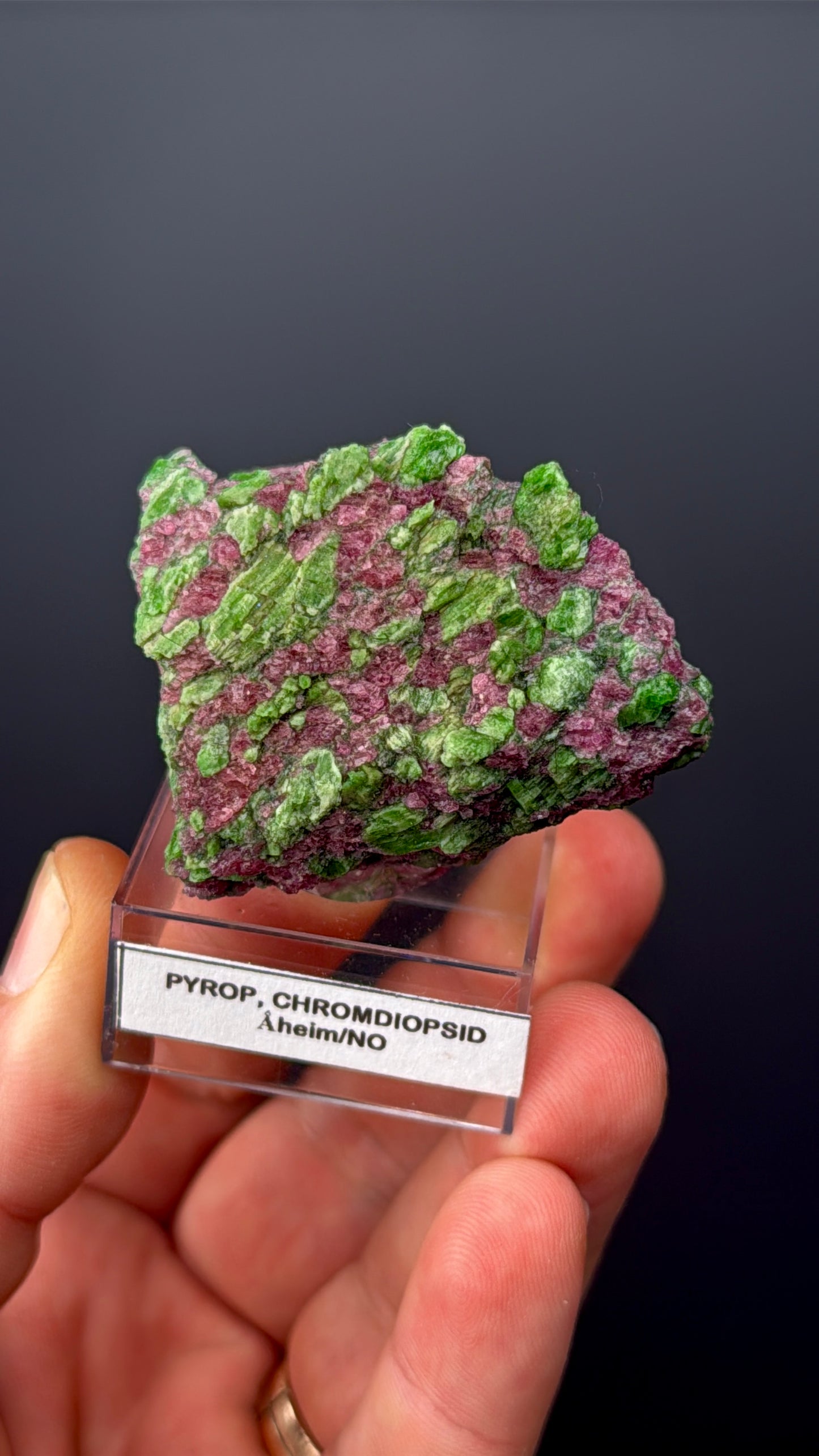 Pyrope Garnet with Chrom Diopsite Specimen Lot