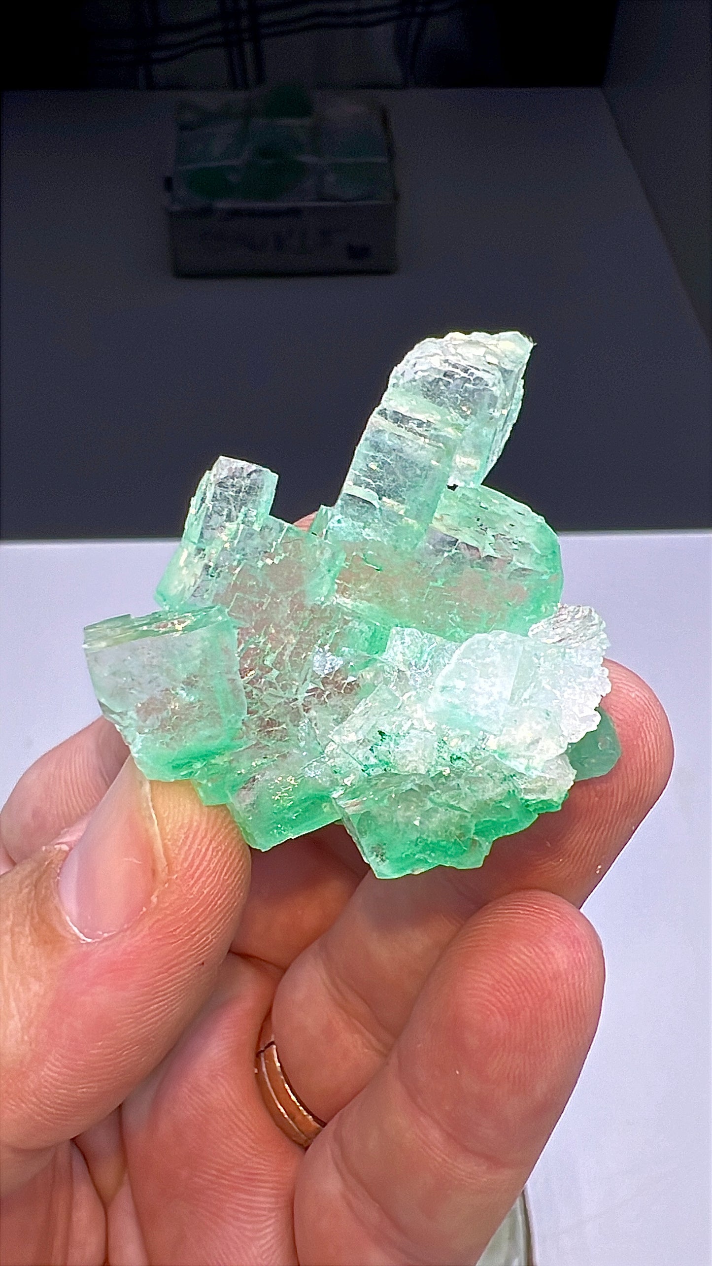 Green Halite Crystal Lot