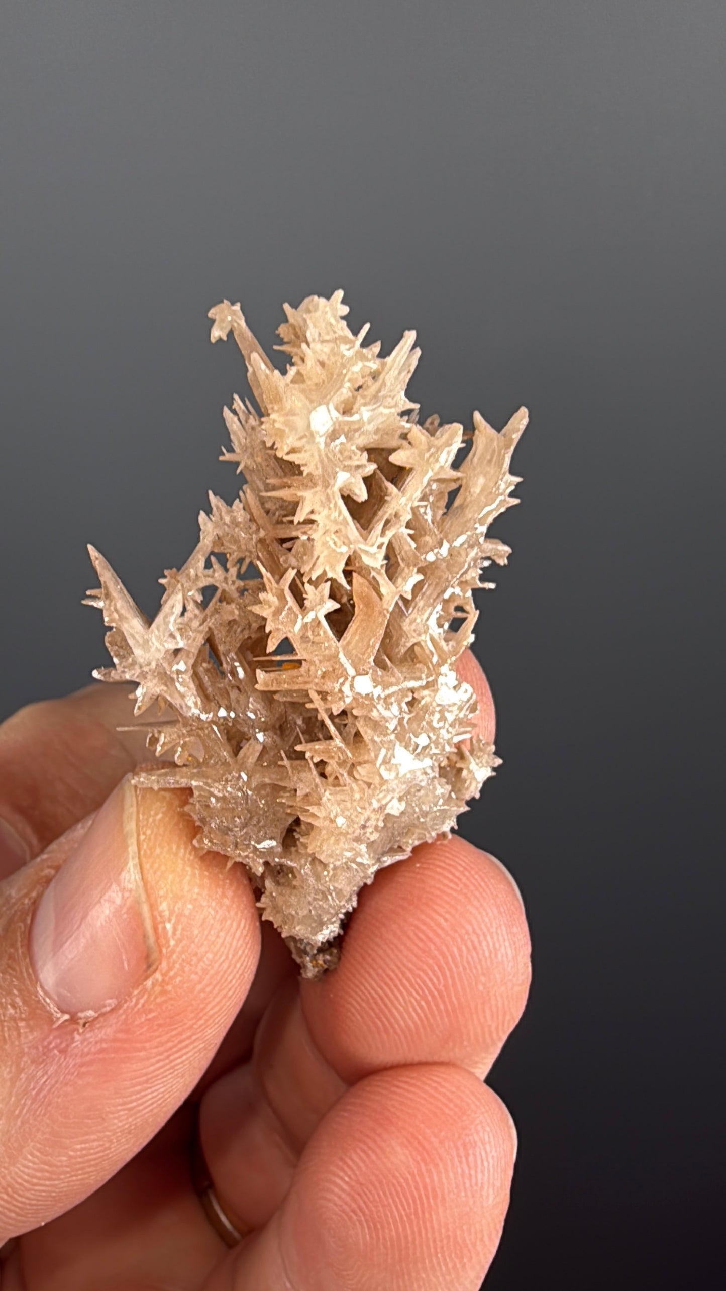 Reticulated Cerussite Specimen Lot