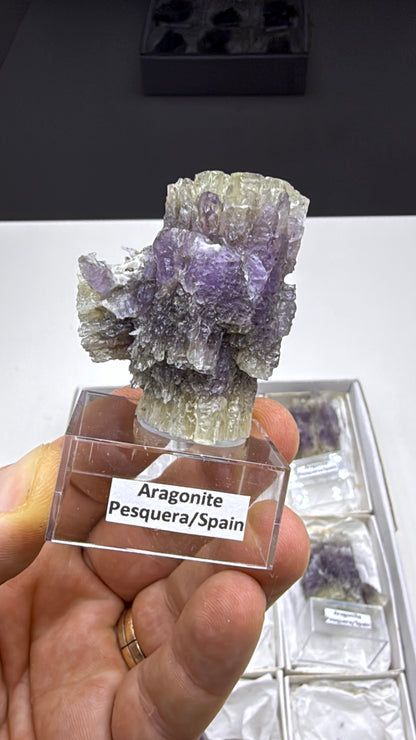 Purple Aragonite Specimen Lot