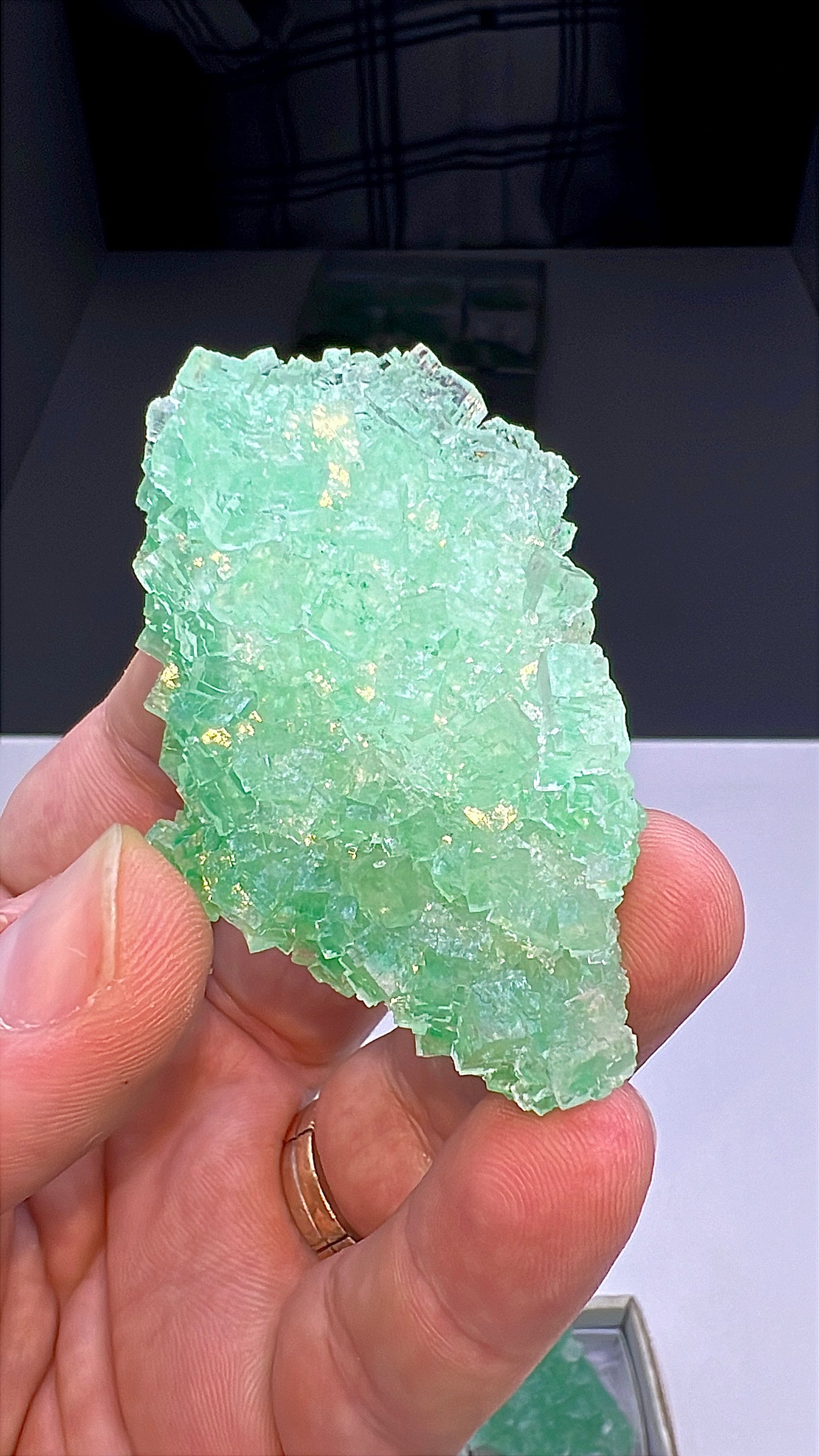 Green Halite Crystal Lot