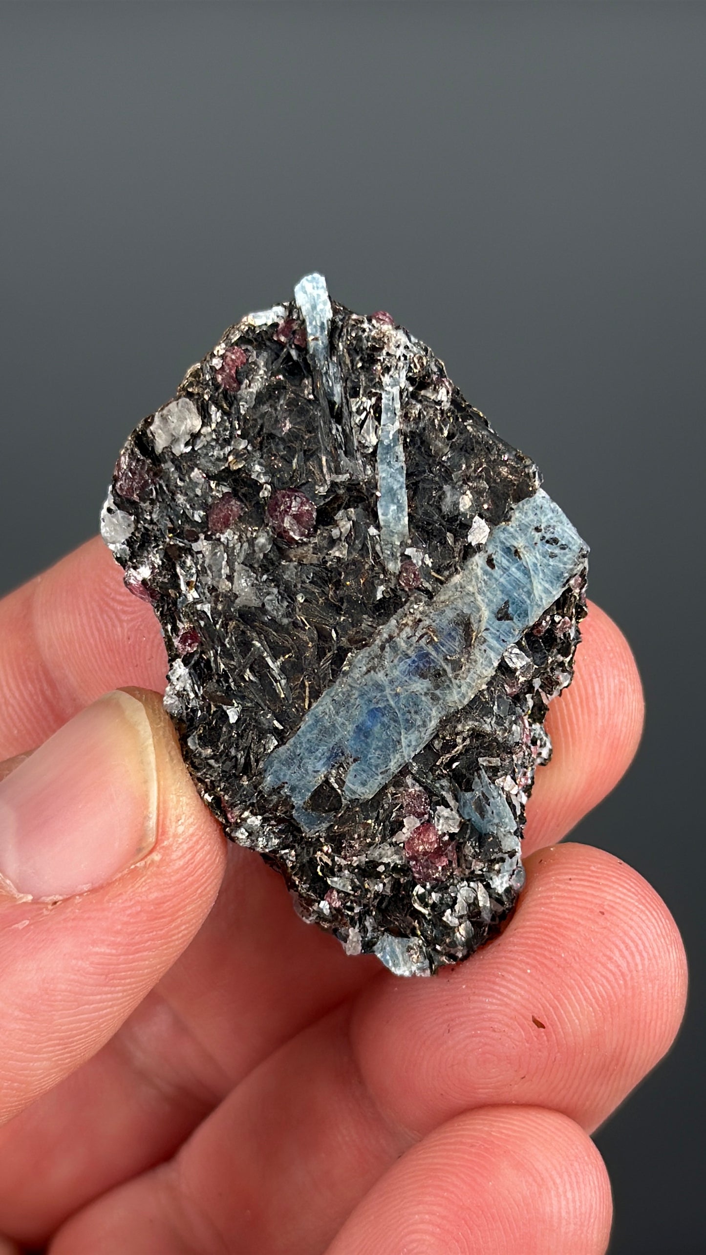 Kyanite with garnet, albite, biotite and Quartz Specimen Lot