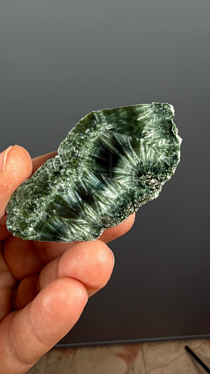 Forest Green Seraphinite Slab Lot