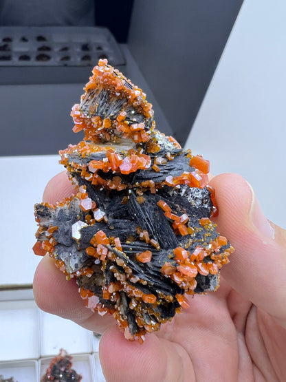 Black Barite With Red Vanadinite Crystal Specimen Lot