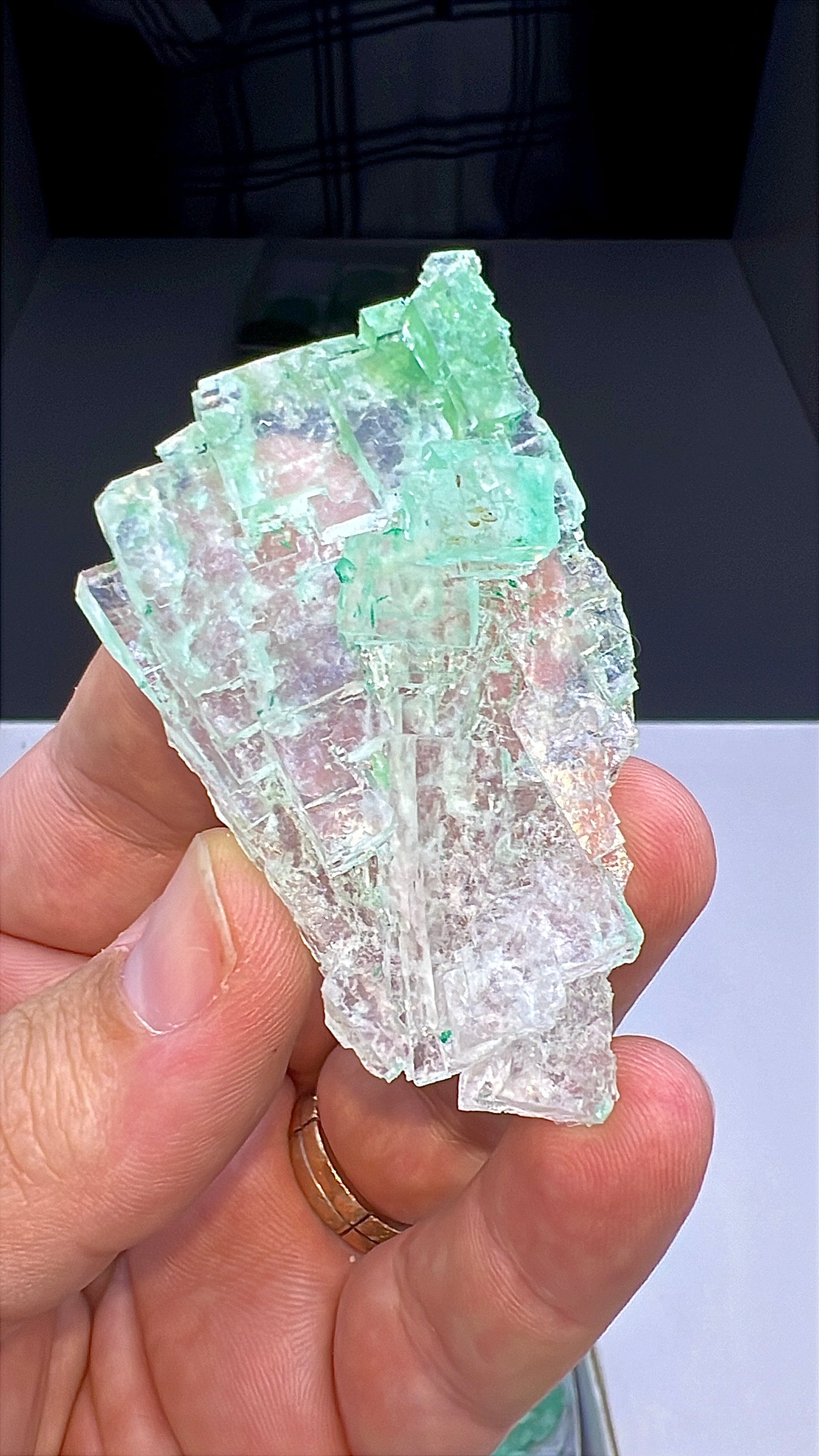 Green Halite Crystal Lot