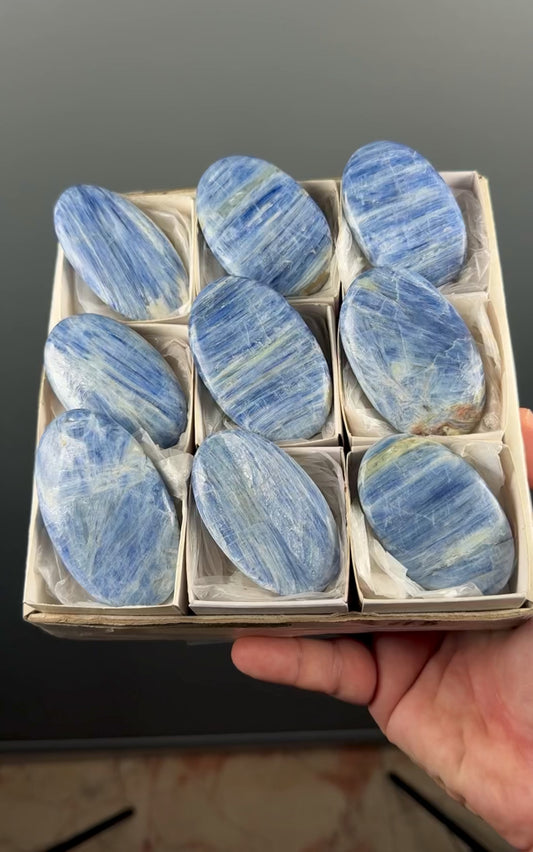 Blue Kyanite Crystal Palm Stone Lot