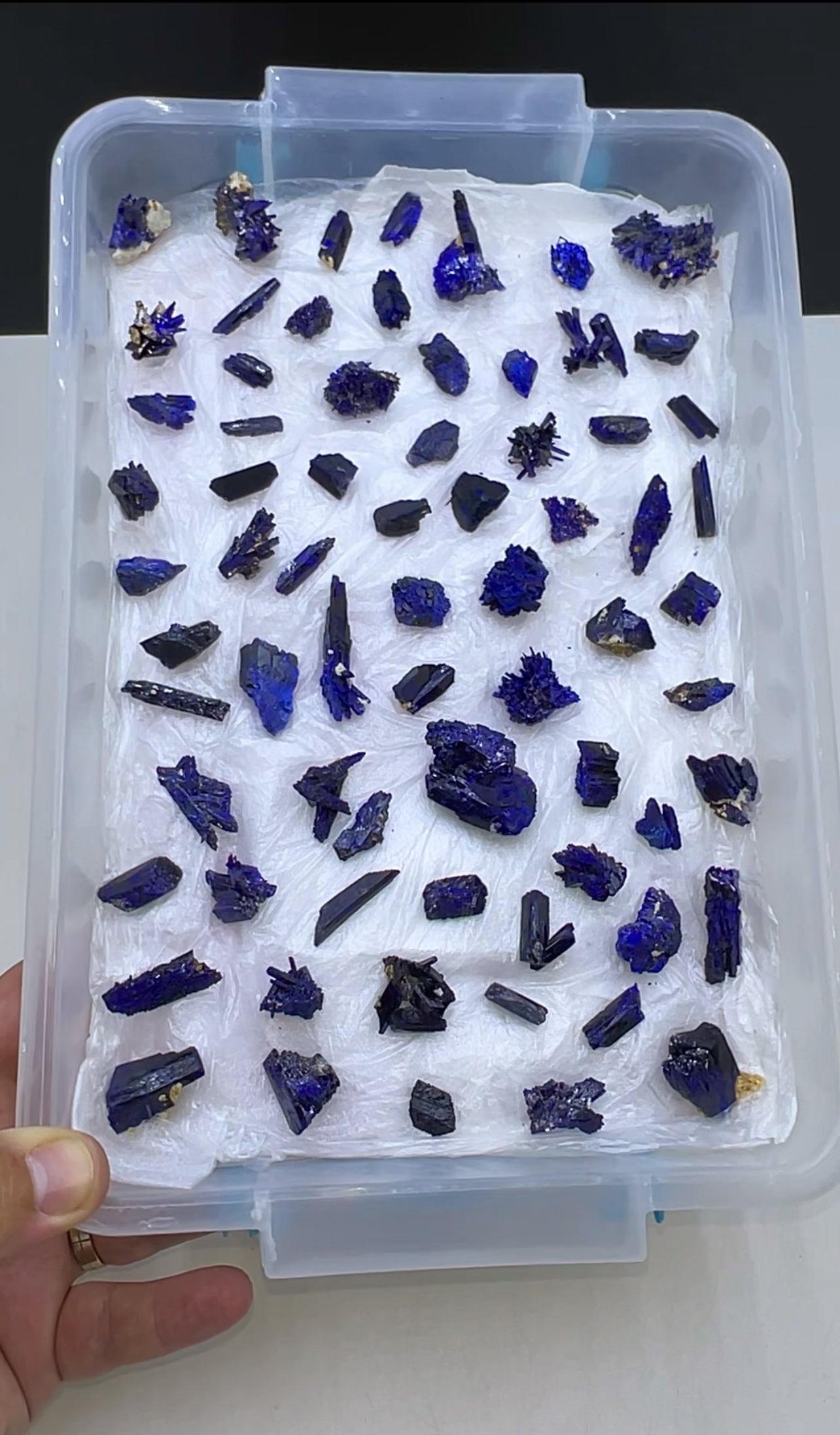 Blue Azurite Crystal  Specimen Lot 60-70 Pieces