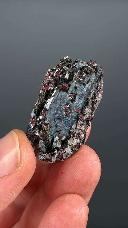 Kyanite with garnet, albite, biotite and Quartz Specimen Lot