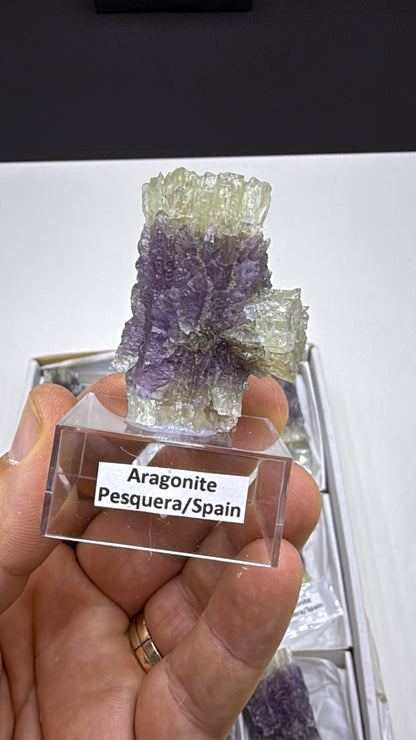 Purple Aragonite Specimen Lot