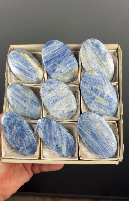 Blue Kyanite Crystal Palm Stone Lot