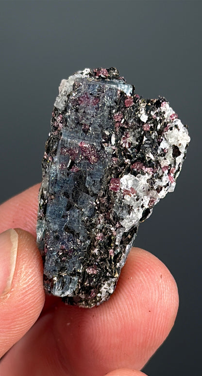 Kyanite with garnet, albite, biotite and Quartz Specimen Lot