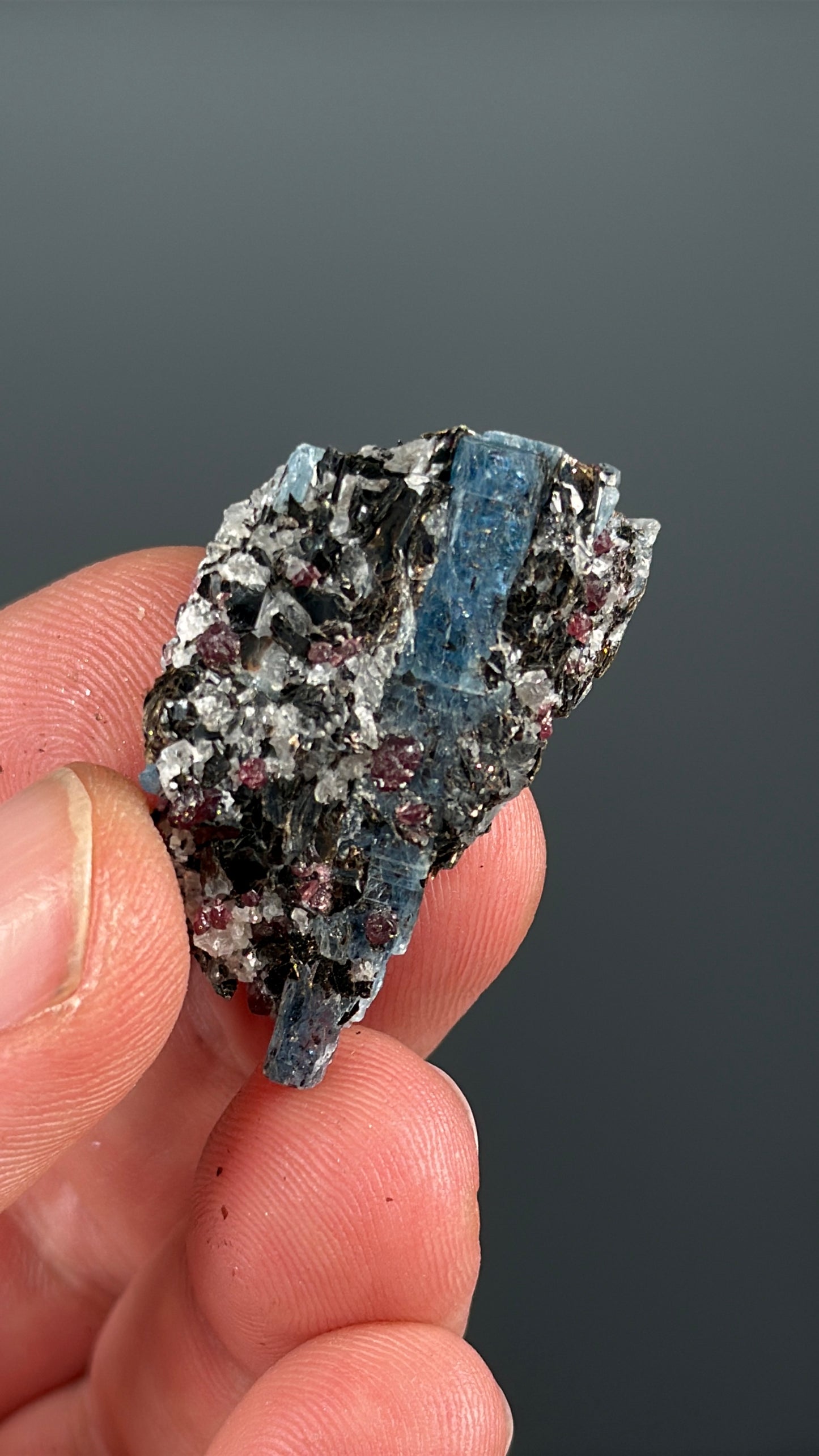 Kyanite with garnet, albite, biotite and Quartz Specimen Lot