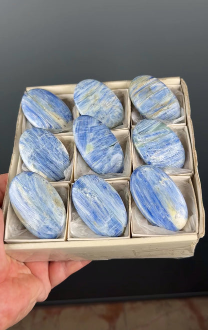 Blue Kyanite Crystal Palm Stone Lot