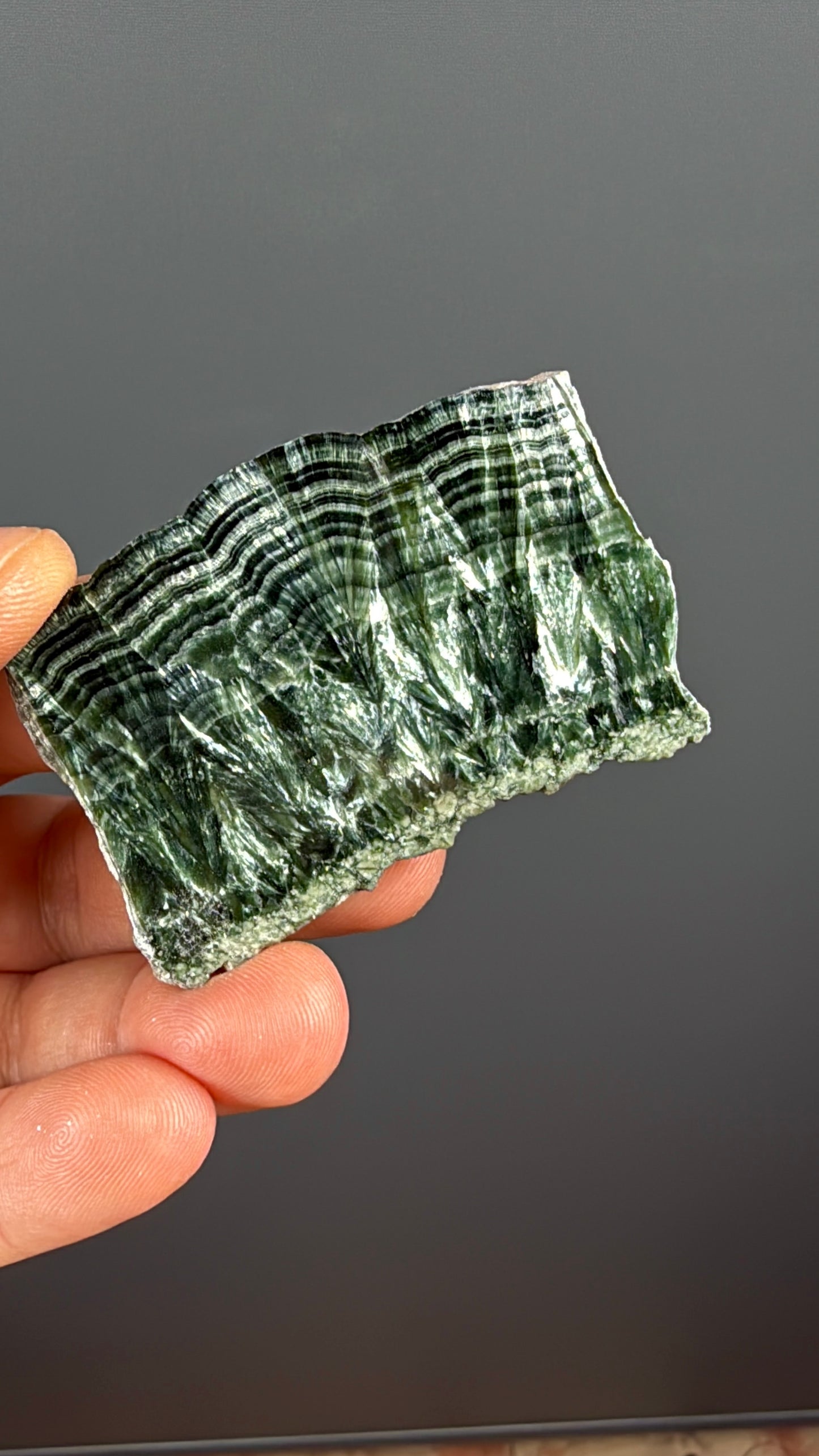 Forest Green Seraphinite Slab Lot