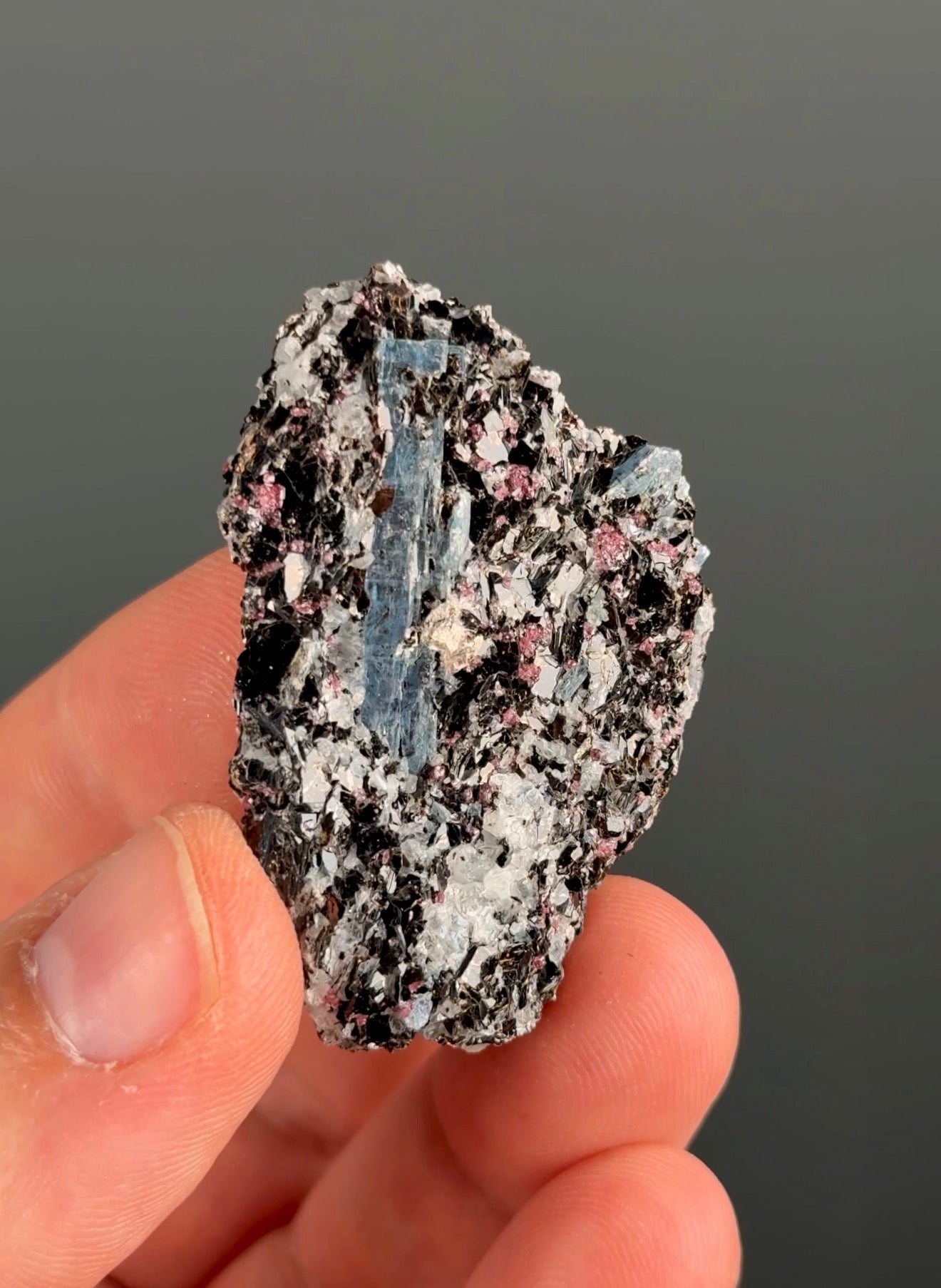 Kyanite with garnet, albite, biotite and Quartz Specimen Lot