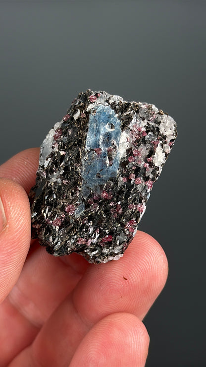 Kyanite with garnet, albite, biotite and Quartz Specimen Lot