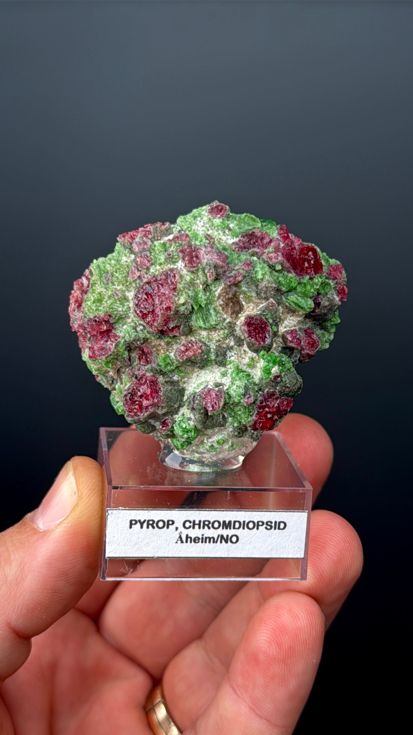 Pyrope Garnet with Chrom Diopsite Specimen Lot