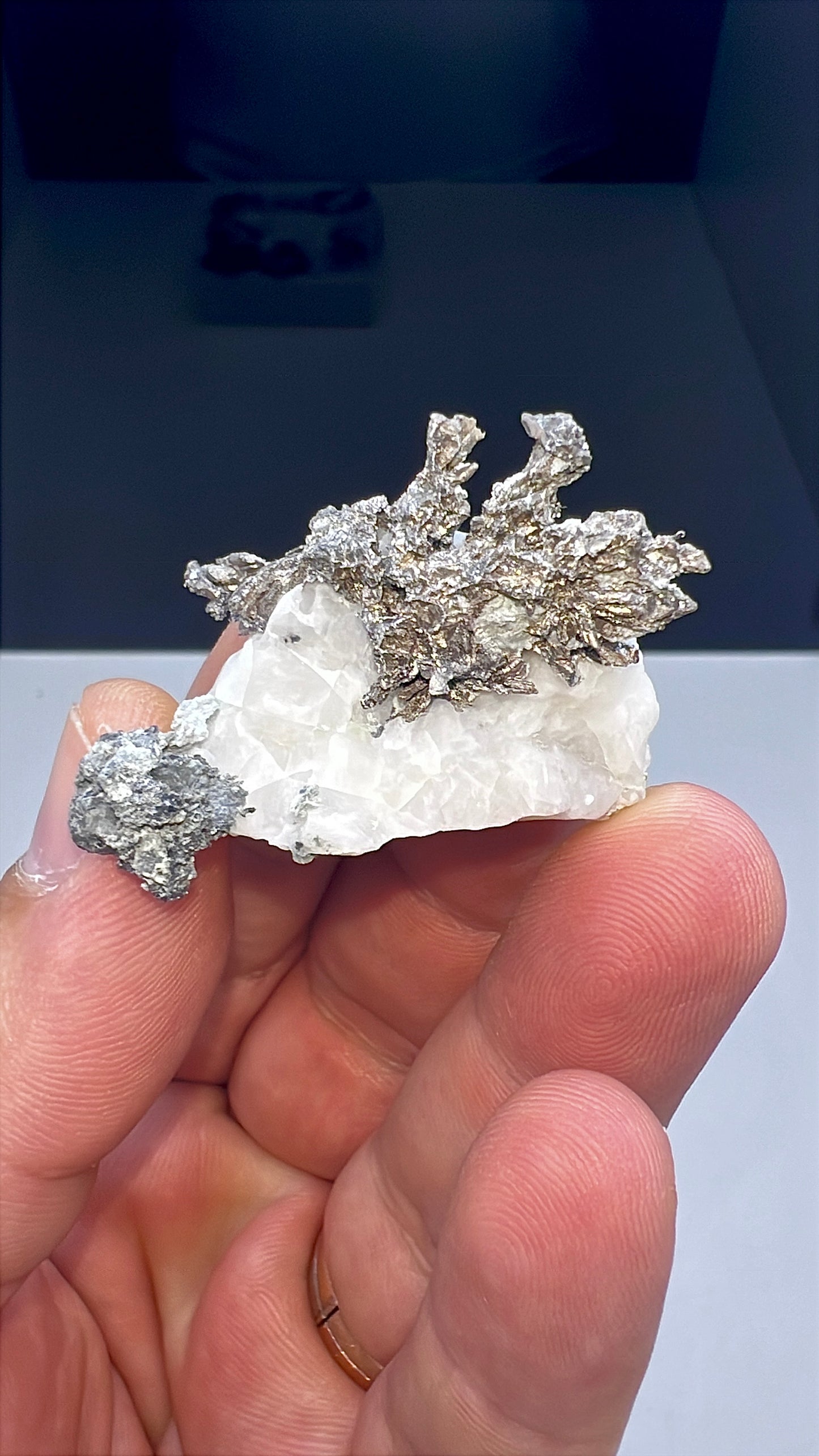 Arborescent Silver with White Calcite Specimen Lot